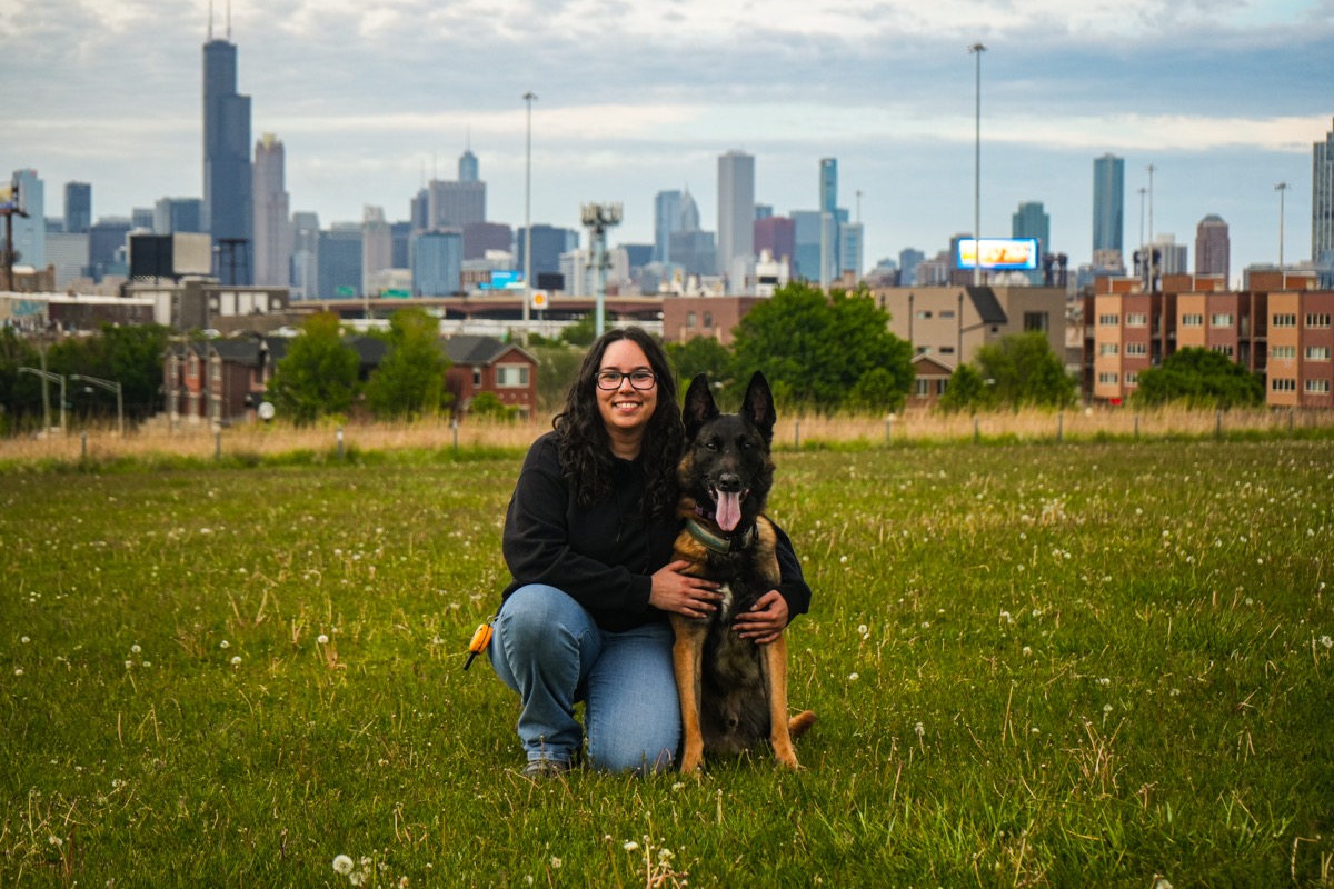 T&B Canine Training